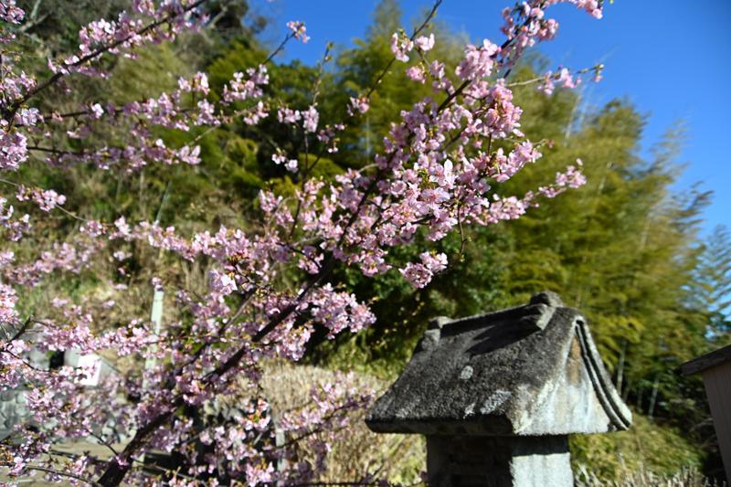 御霊神社