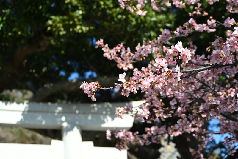 御霊神社