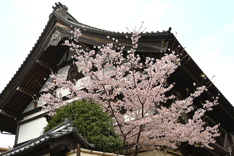 建長寺