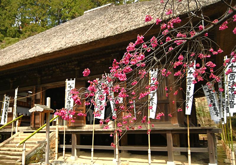 杉本寺