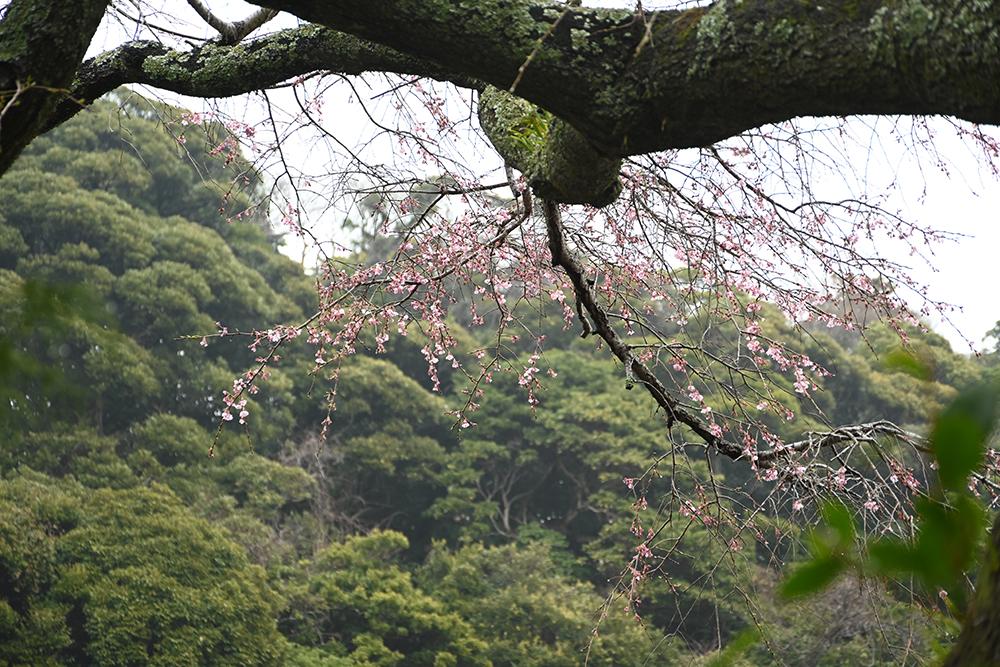 光則寺
