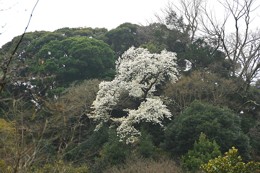 光則寺