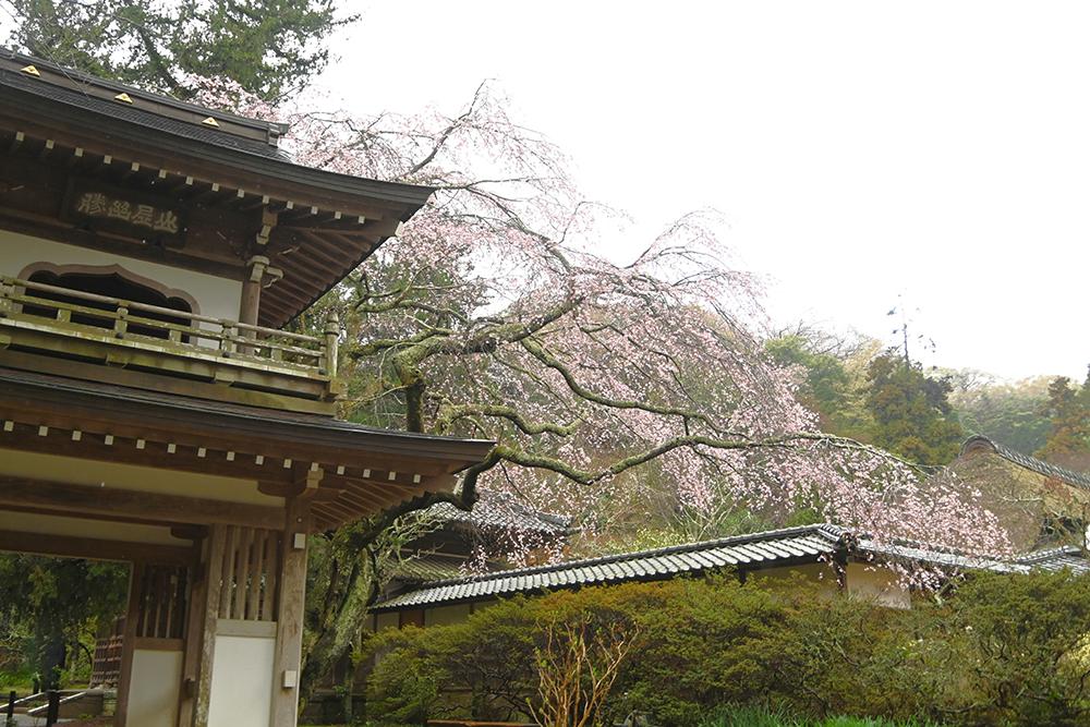 浄智寺