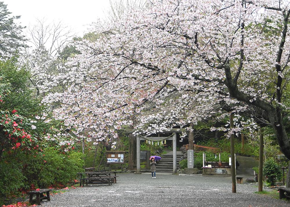 葛󠄀原岡神社