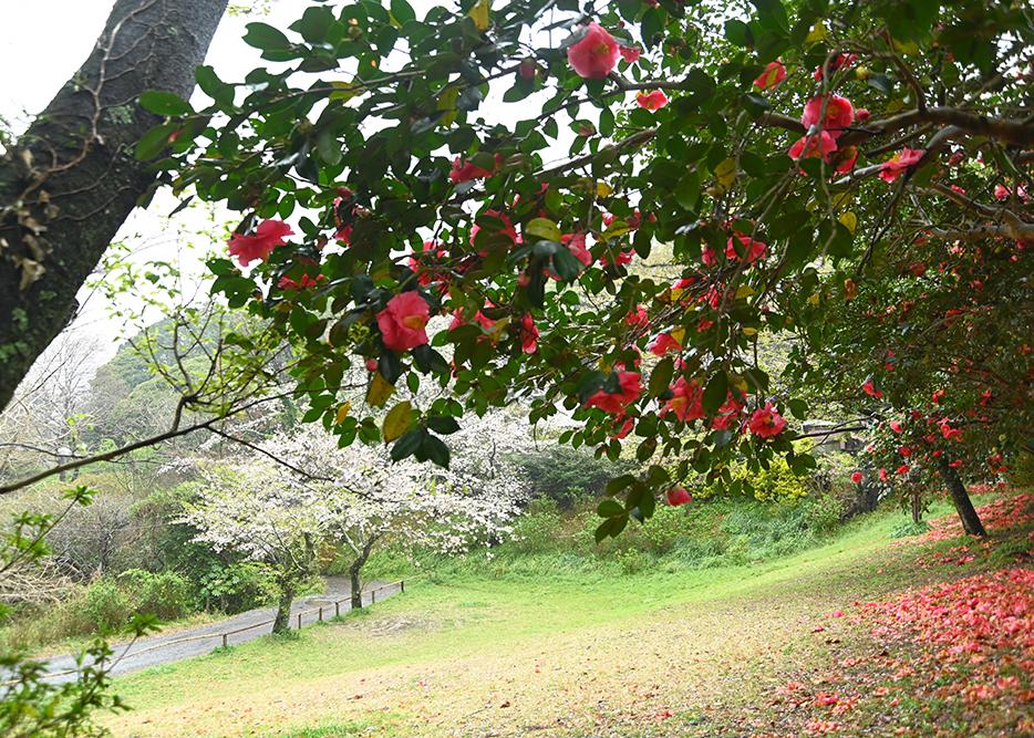 葛󠄀原岡神社