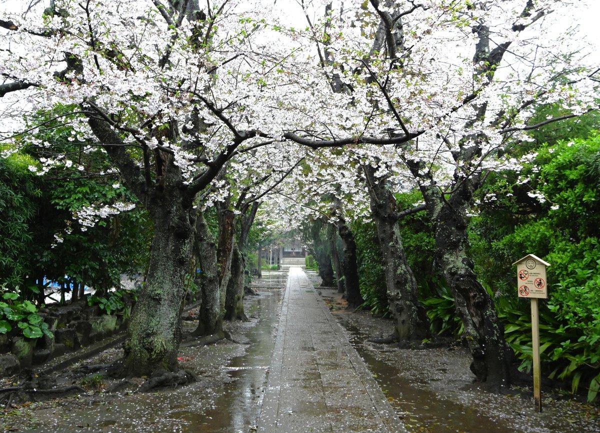極楽寺