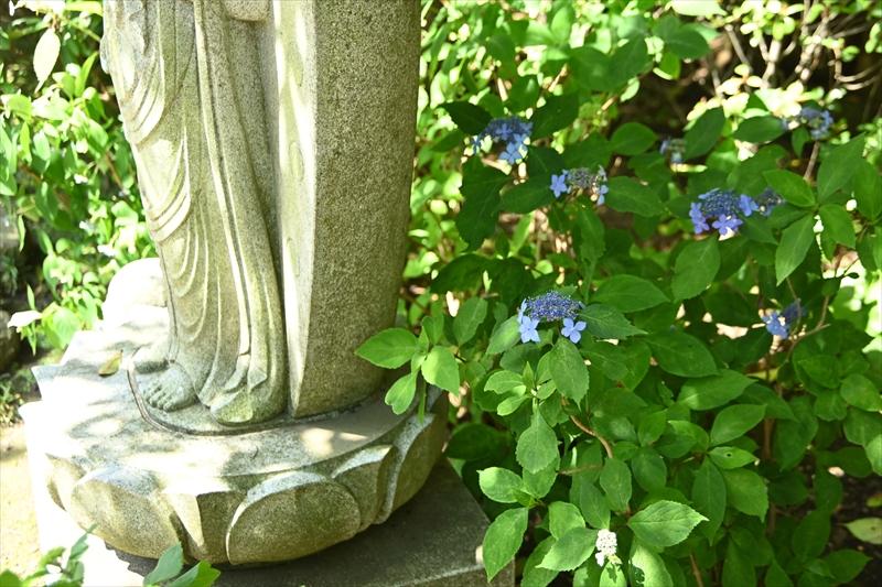 長谷寺