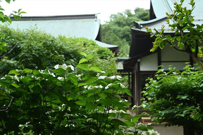 報国寺