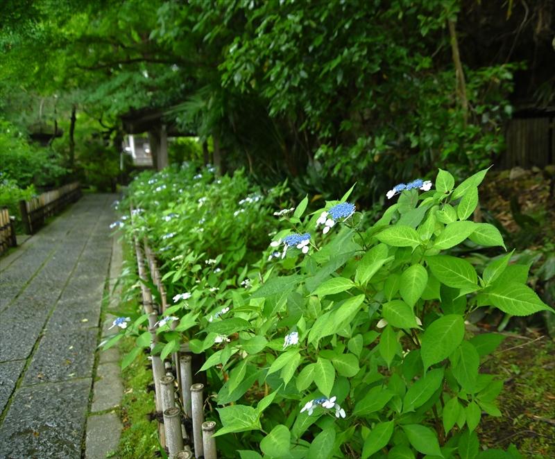 安国論寺