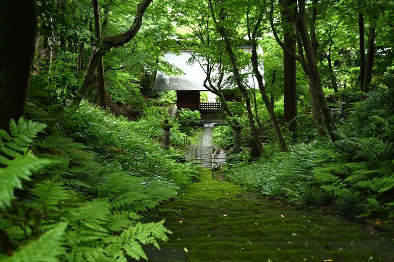 妙法寺（苔寺）