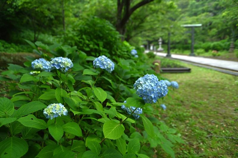 建長寺