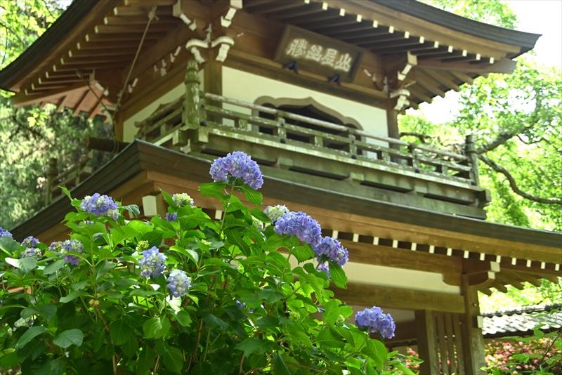 浄智寺