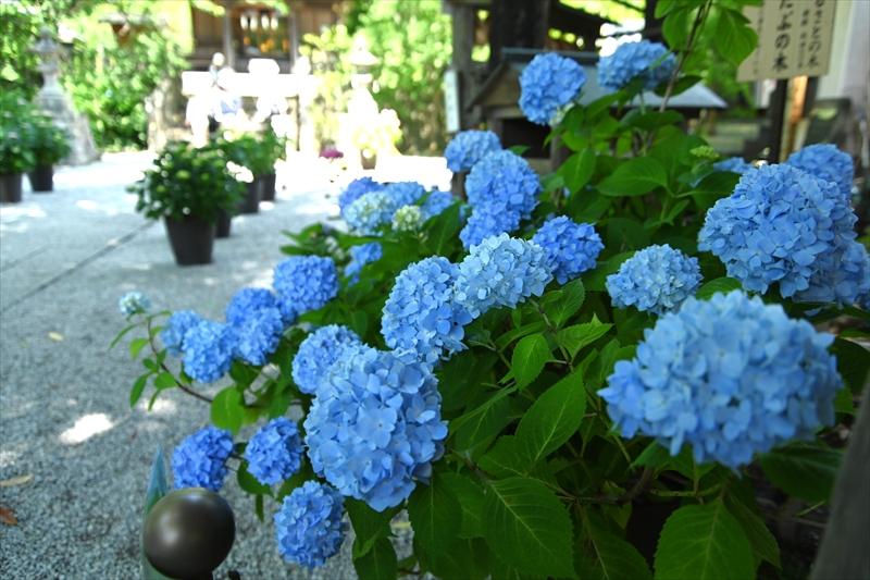 御霊神社