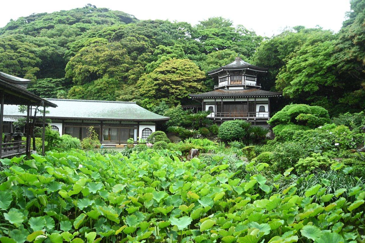 光明寺