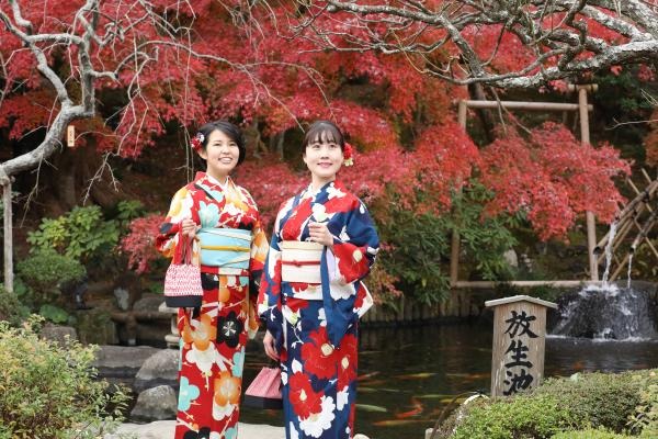 SNS映えすること間違いなし秋色に染まる鎌倉の名所へ