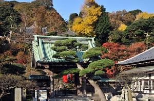 りんどう号以外の京急バスで行ける観光スポット