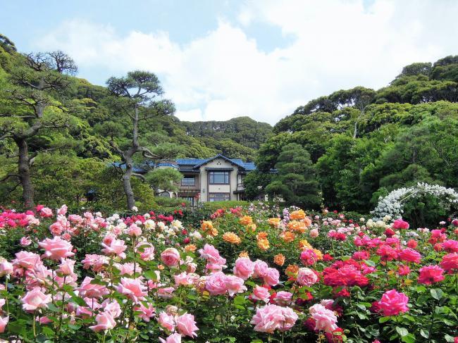 VOL.3　ときを旅する「鎌倉文学館」編