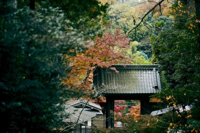 宝物風入・国宝舎利殿特別拝観（円覚寺）
