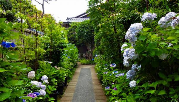 鎌倉市鏑木清方記念美術館