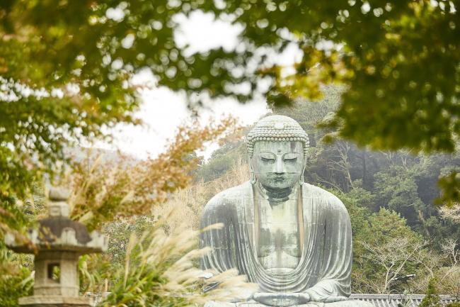高徳院（鎌倉大仏／鎌倉大仏殿高徳院）