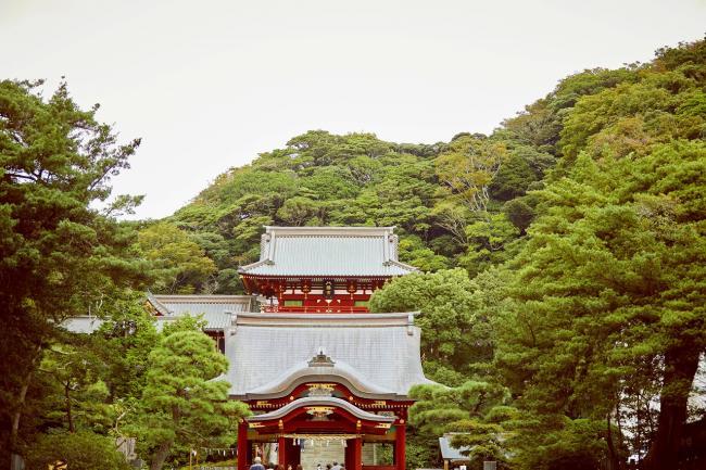 鶴岡八幡宮