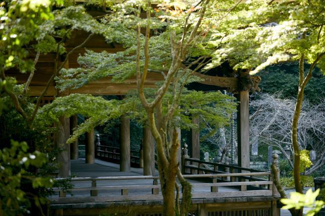 妙本寺
