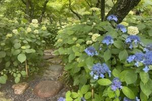 一条恵観山荘