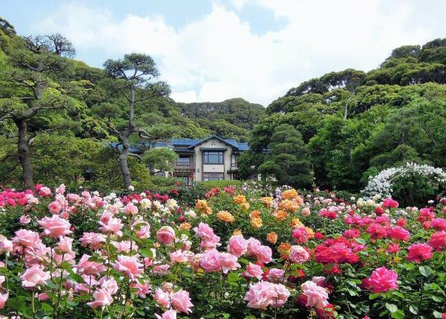 鎌倉文学館