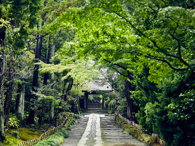 （1）「亀ヶ谷坂を抜け山内荘へ―祈りと鎮魂の路―」