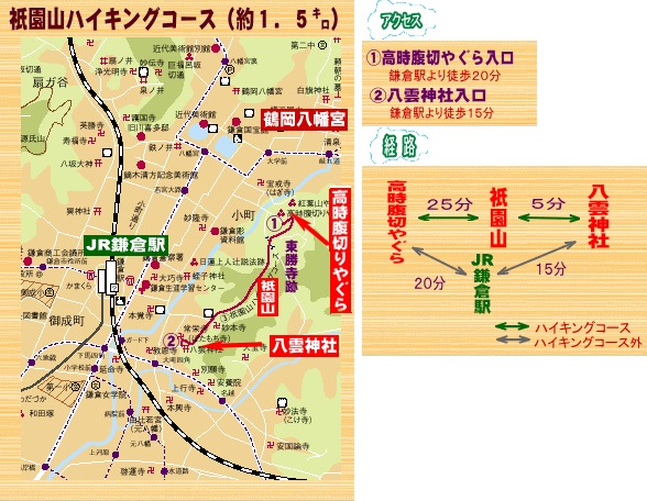基本情報