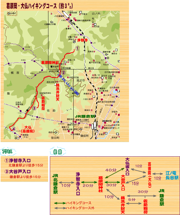 基本情報