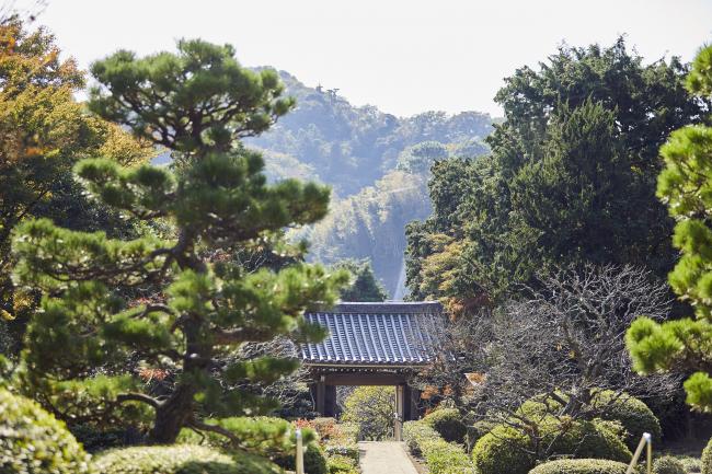 浄妙寺（滞在時間約20分）