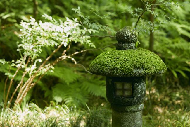 報国寺（滞在時間約45分）